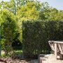 Kant en klaar haag met groene tussenbeugels en ijzeren palen